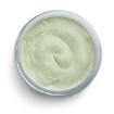Picture of Sage Paste