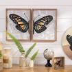Picture of Two Etched Butterflies