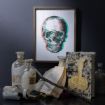 Picture of Etched Skull Chalkable Shapes (2 Pieces)
